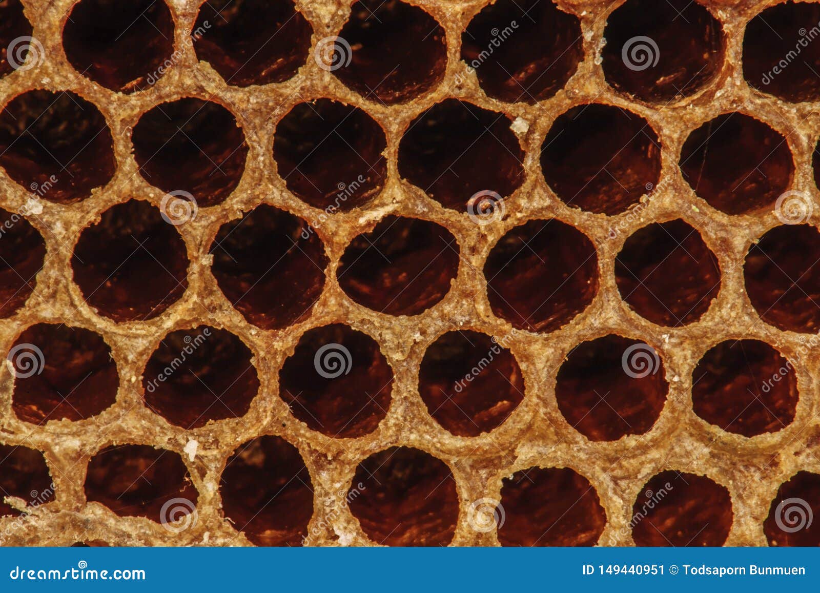 Background Texture And Pattern Of A Section Of Wax ...