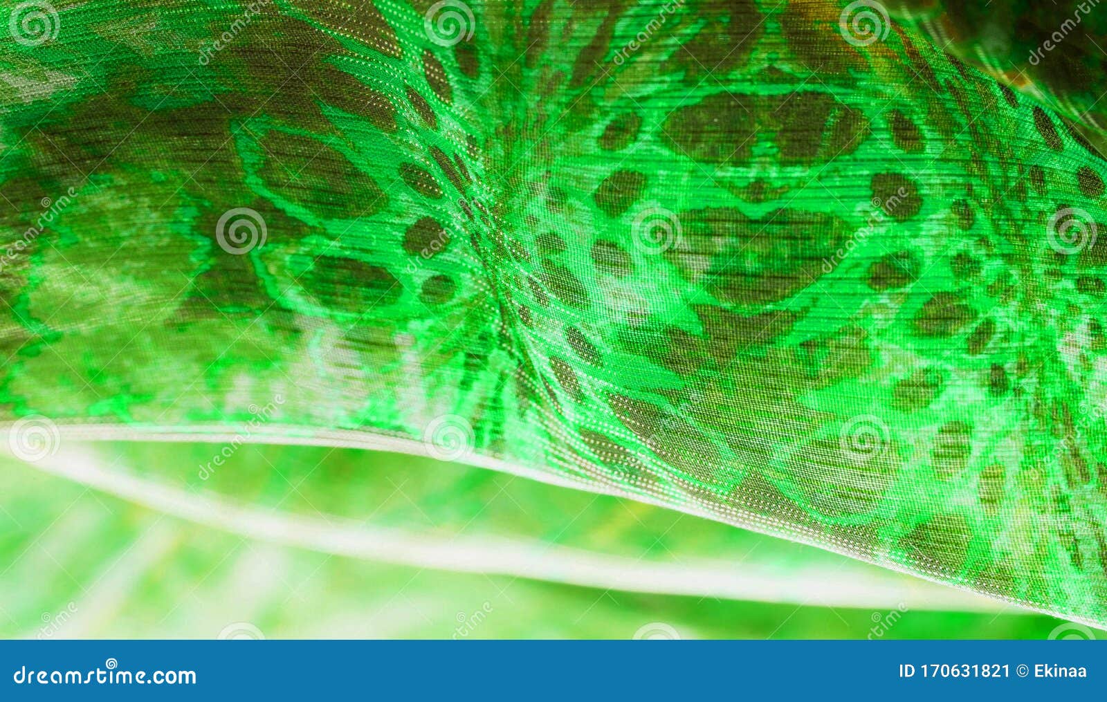 background texture, pattern. silk from a greenish emerald shade. this luxurious silk chiffon fabric is a show-stopper. it is clean