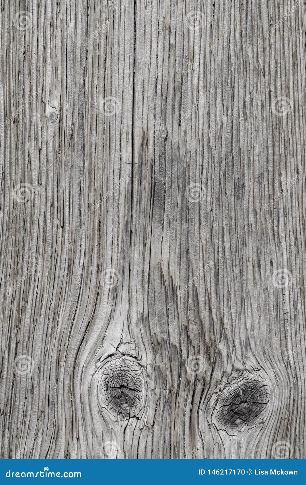 Old Barn Wood Background Texture Stock Photo Image Of Texture