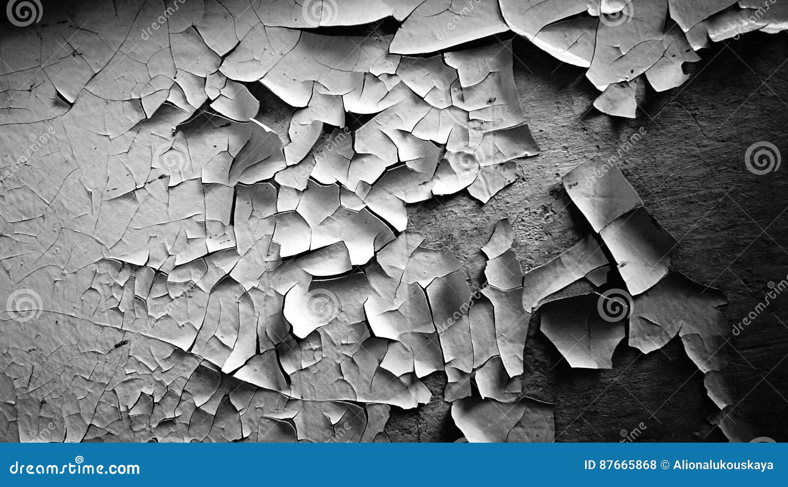 background is a texture, peeling paint on an old wall. black and white