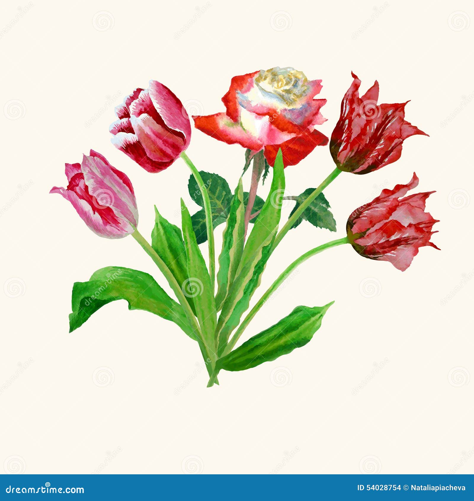 Background with Tulips and Roses05 Stock Vector Illustration of