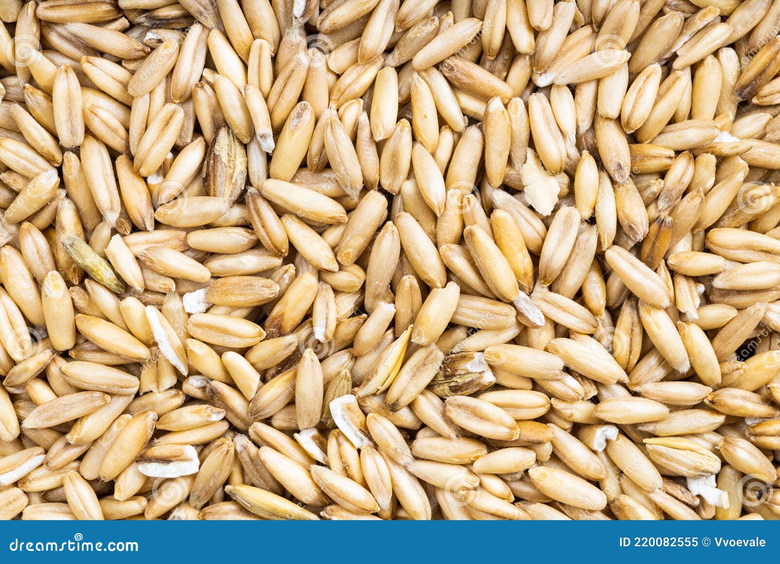 Background Uncooked Wholegrain Oat Groats Stock Image Image of kernel, organic 220082555