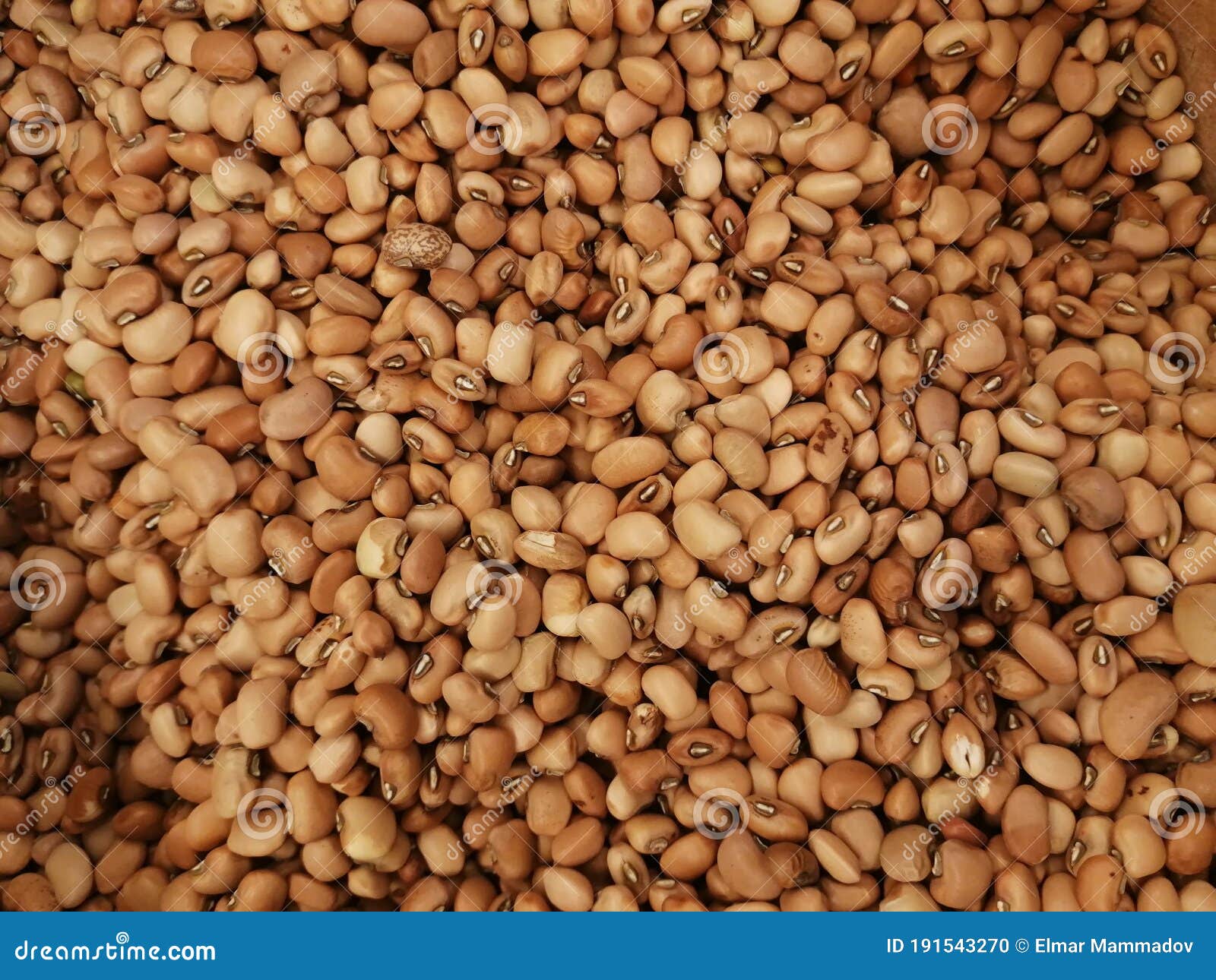 Background Unsalted Soy Bean Nuts Close Up Stock Photo Image of grain