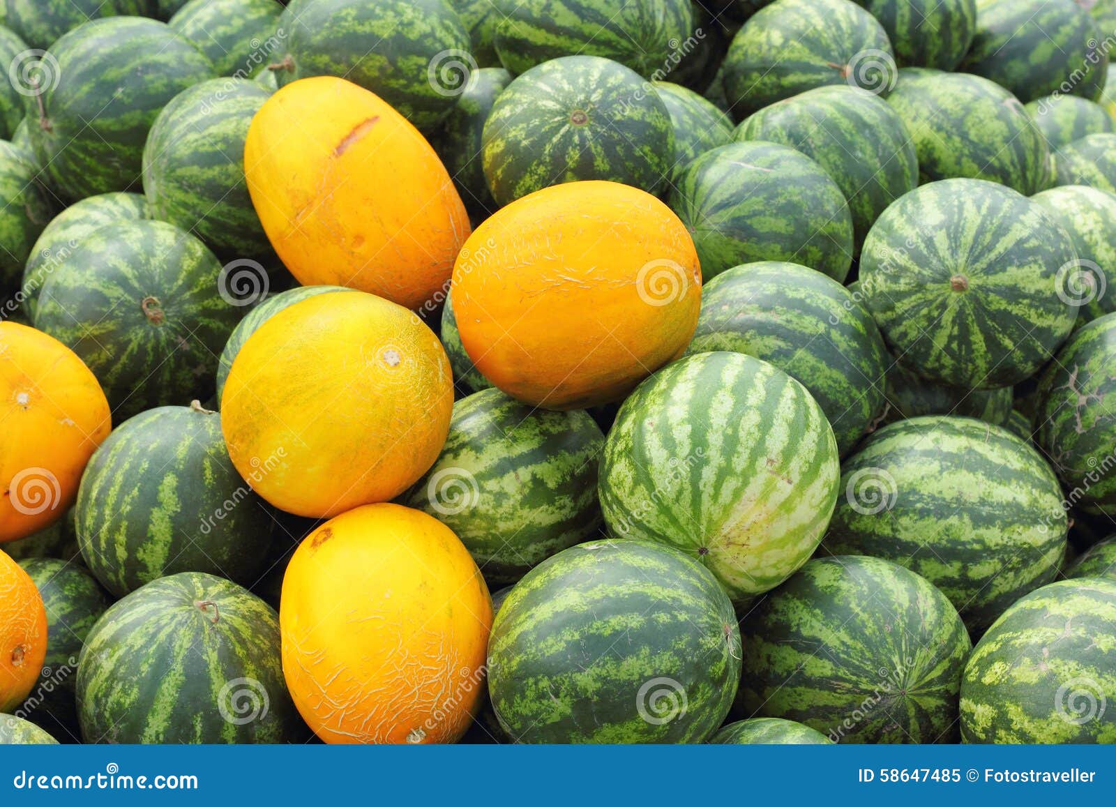 Background of Watermelons and Cantaloupes Stock Image Image of green