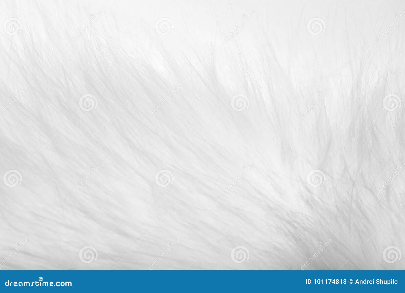Background of white fur stock photo. Image of smooth 101174818