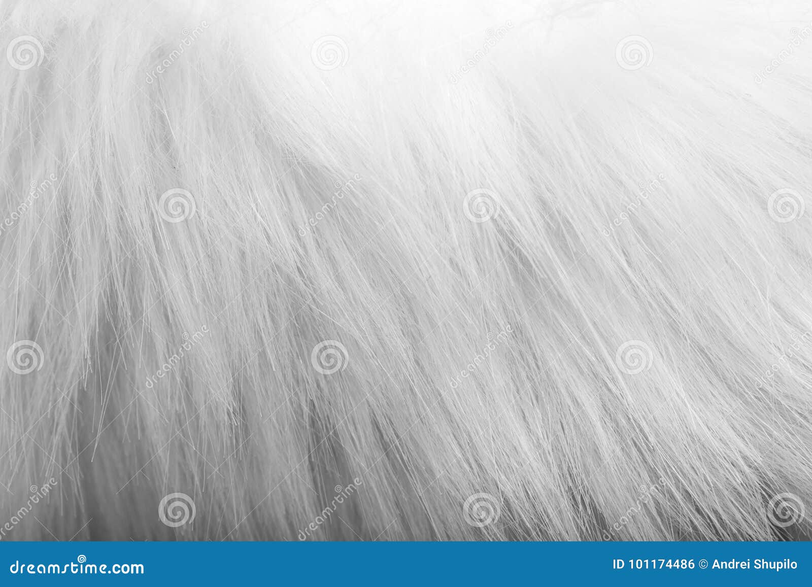 Background of white fur stock photo. Image of fuzzy 101174486
