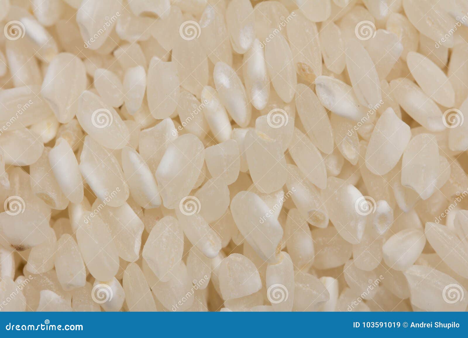 Background of White Rice. Macro Stock Image Image of meal, organic