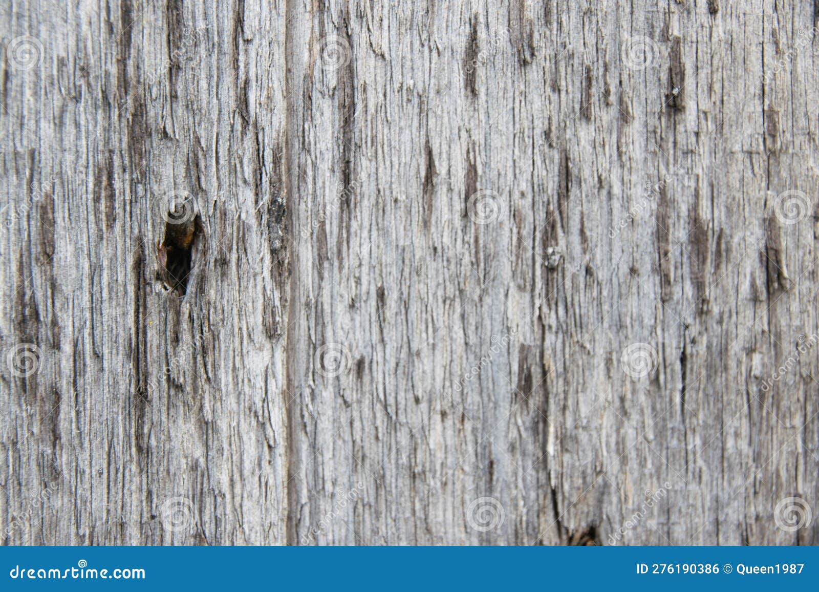 Old Gray cracked wood texture background №2836 Ready to Hang