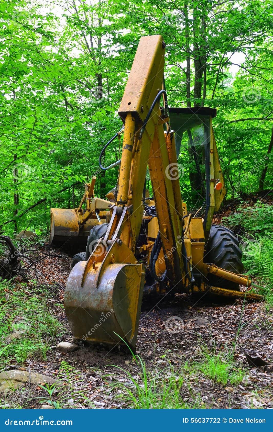 Backhoe Parked in Wilderness Stock Photo Image of used, trees 56037722