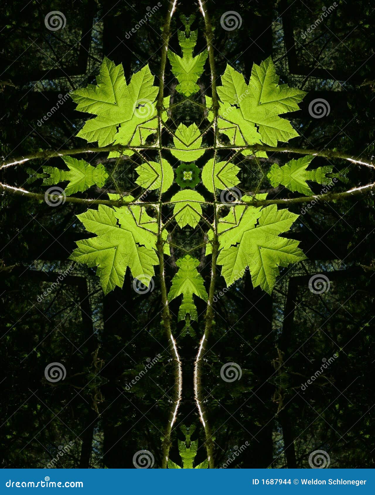 backlit green leaves cross