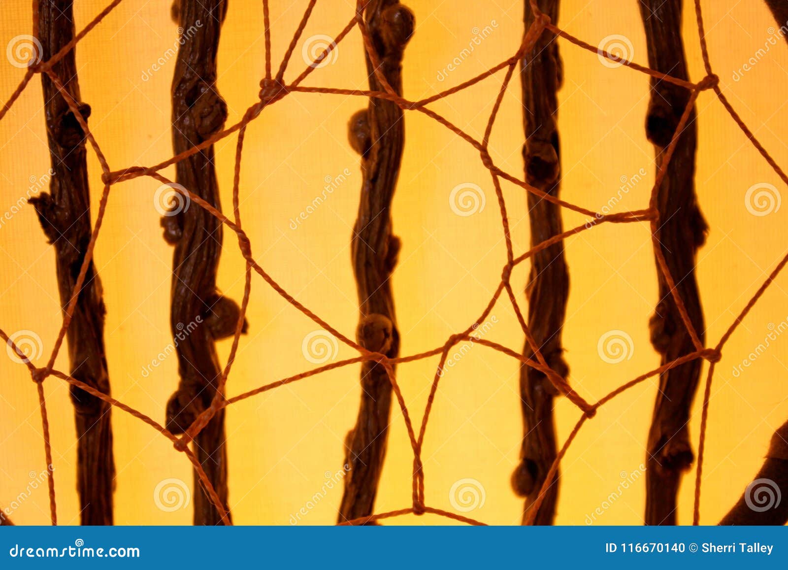 Backlit Twine and Vine stock photo. Image of light, beautiful 116670140