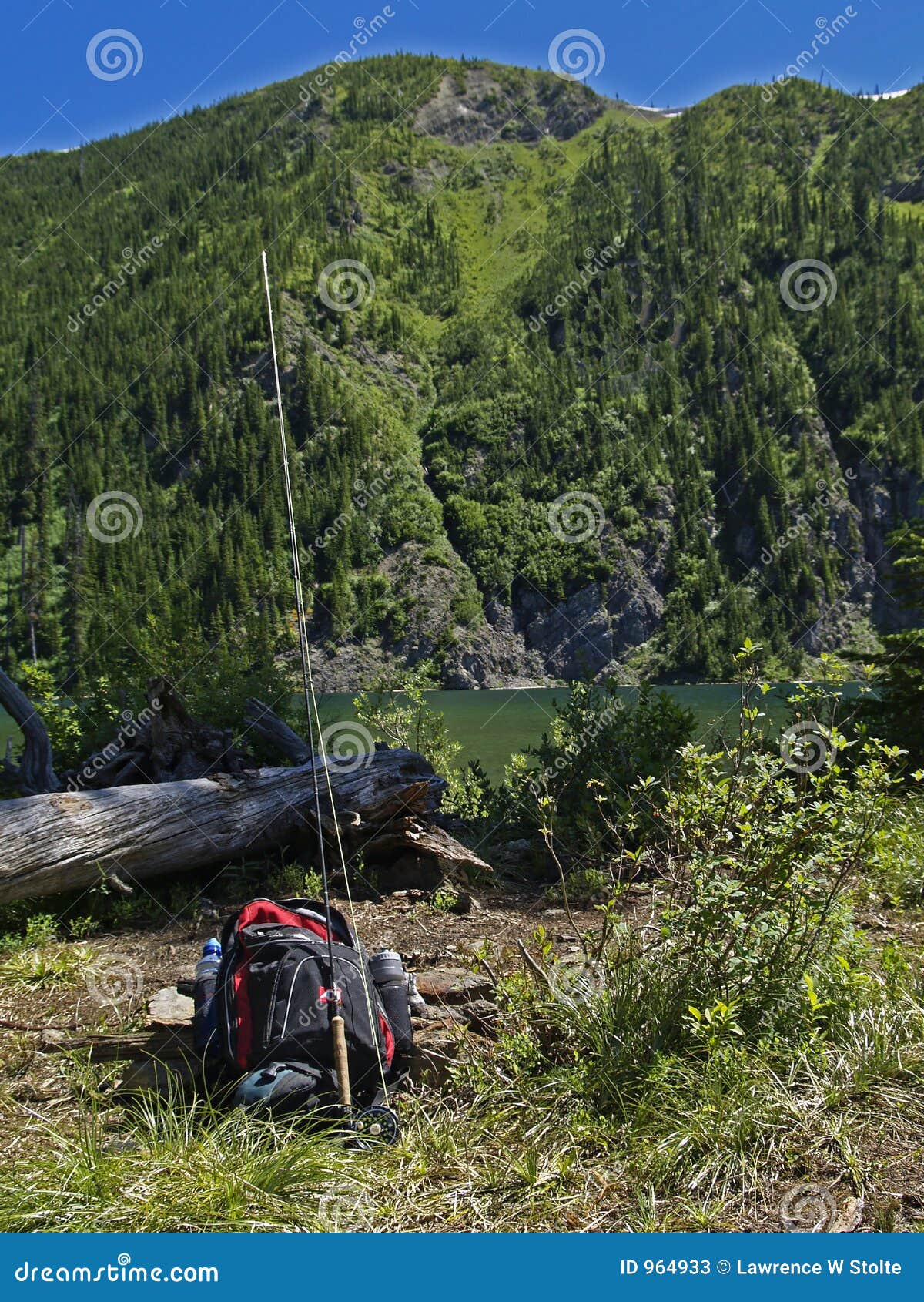 Backpack and Fishing Rod stock image. Image of shrubs, unique - 964933