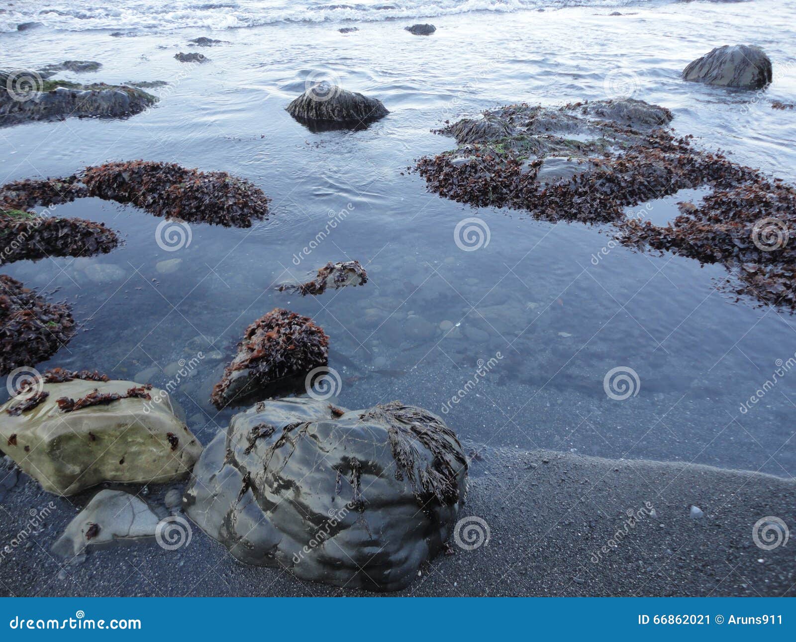 Backpacking Lost Coast in California Stock Image Image of california