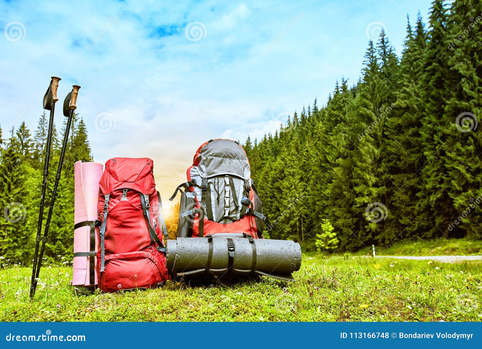 Backpacks in the Mountains Overlooking the Mountains on the Green Grass