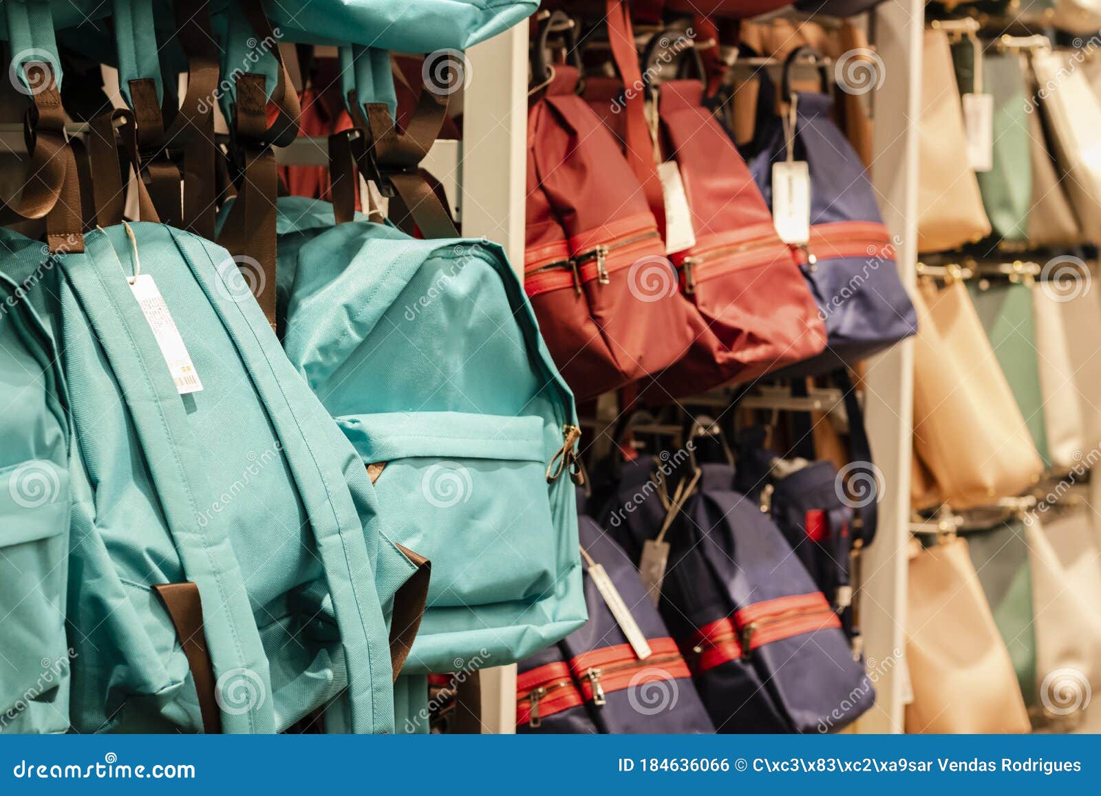 Backpacks for Sale in Store Stock Photo Image of vacation, luggage 184636066