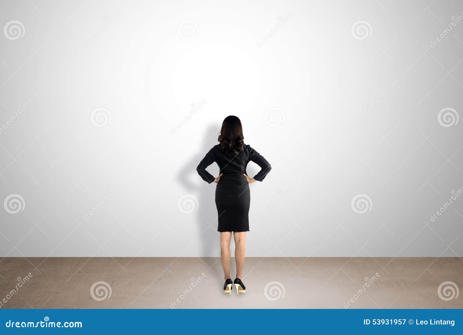 Backview Woman Facing Empty Wall Stock Image Image Of Suit Secretary