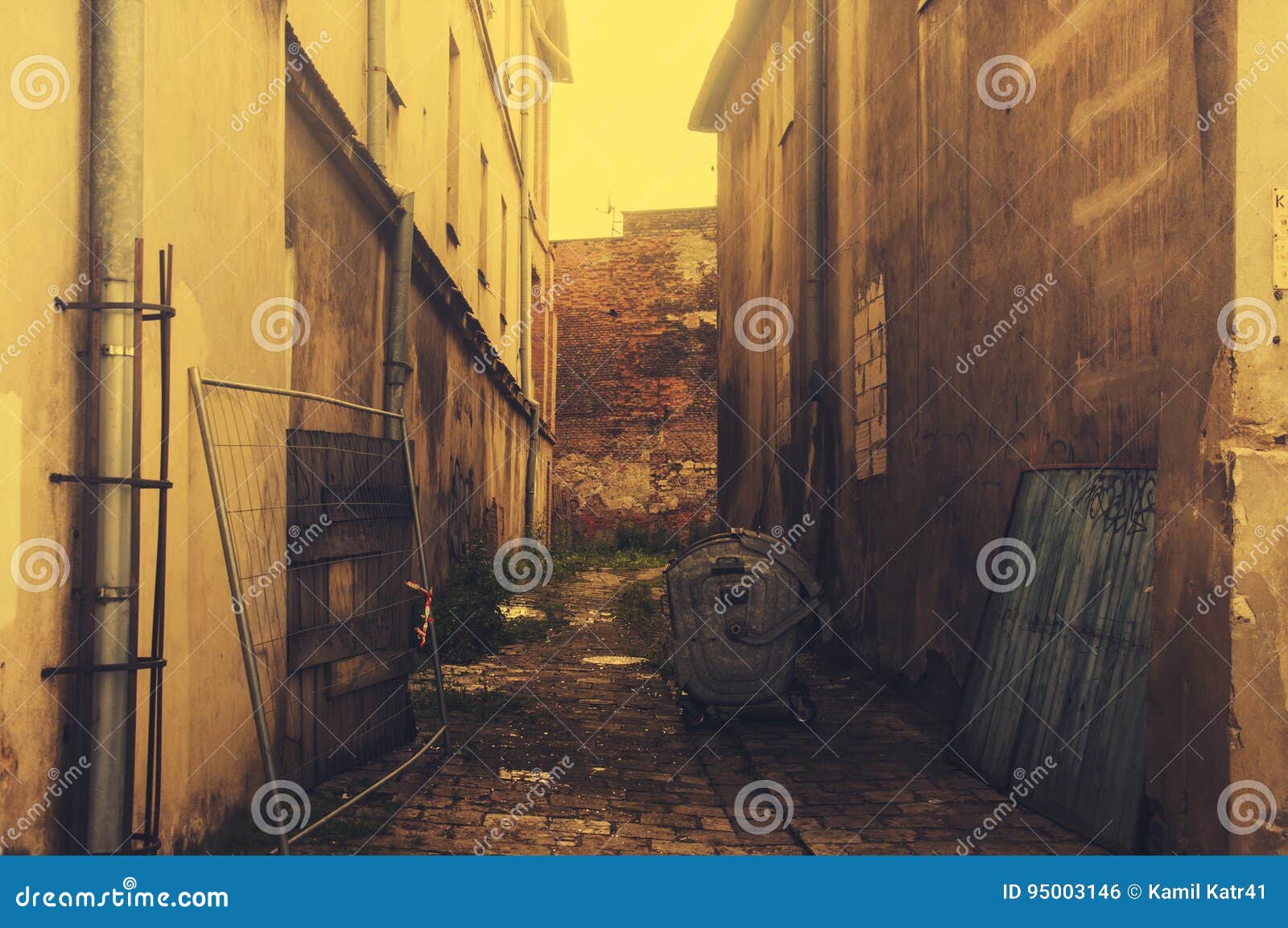 Backyard alley stock photo. Image of bloom, alley, building 95003146