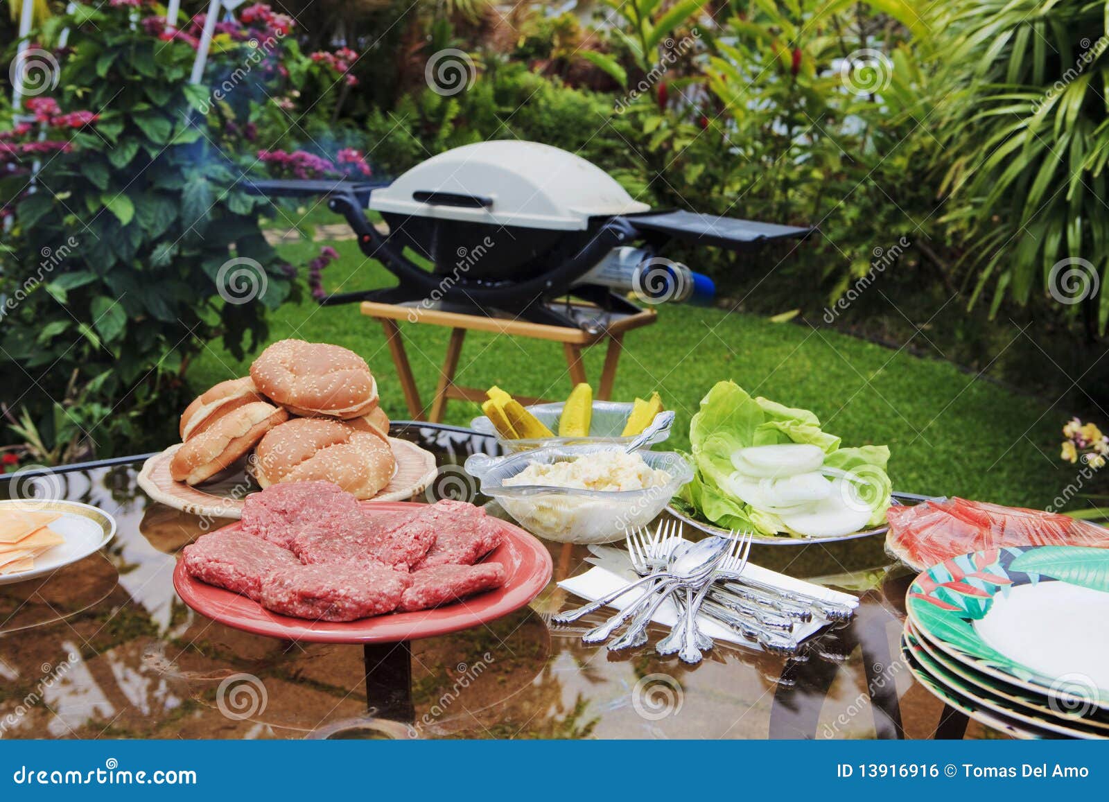 Backyard barbque stock photo. Image of pickle, grill 13916916