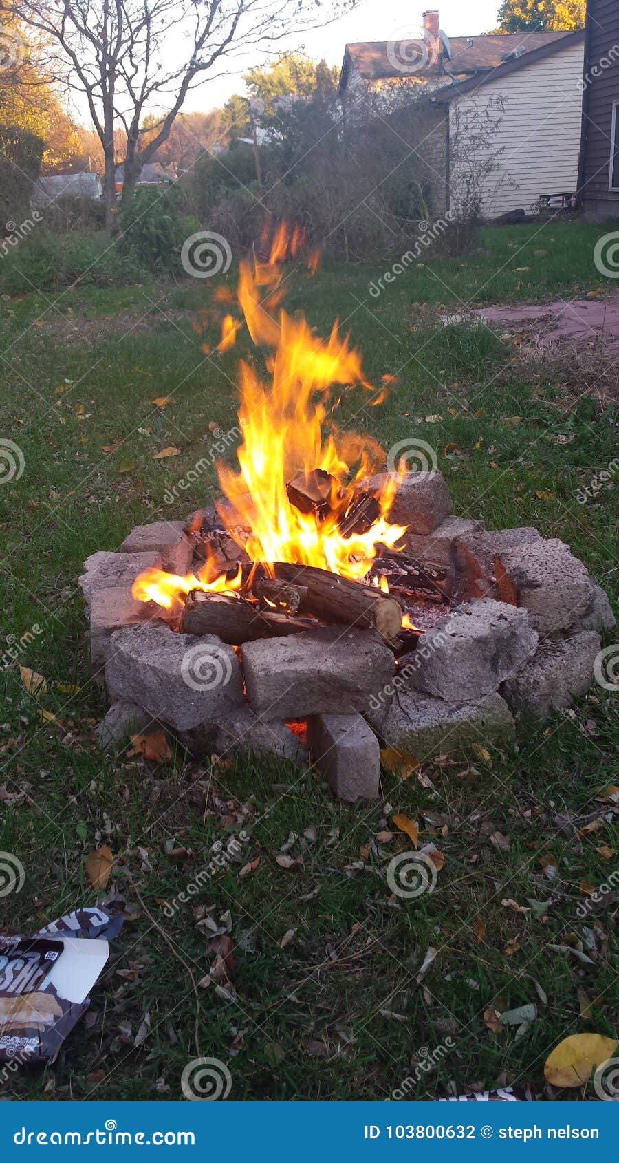 Backyard Bonfire Stock Photo Image Of Firepit