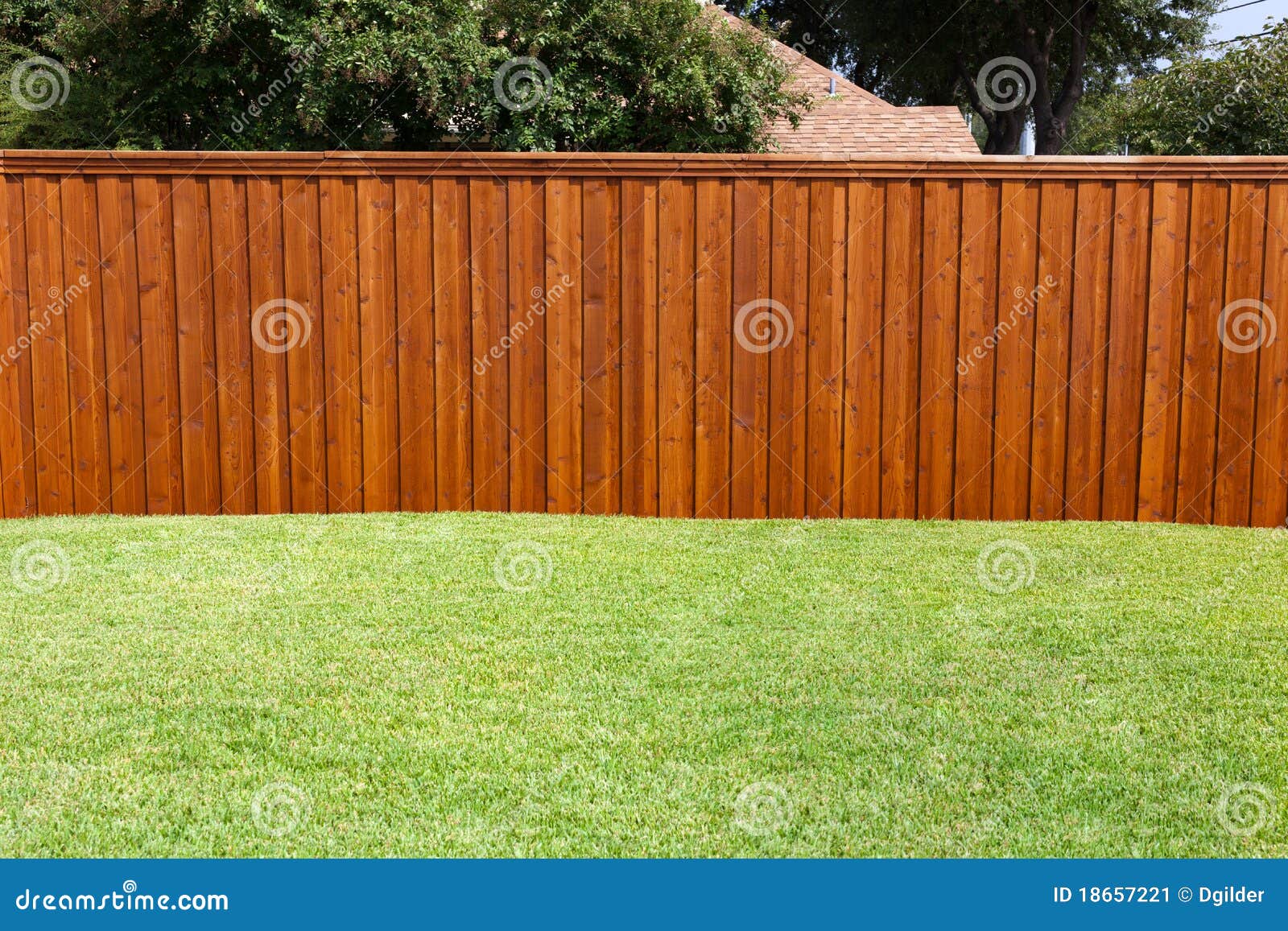 backyard fence