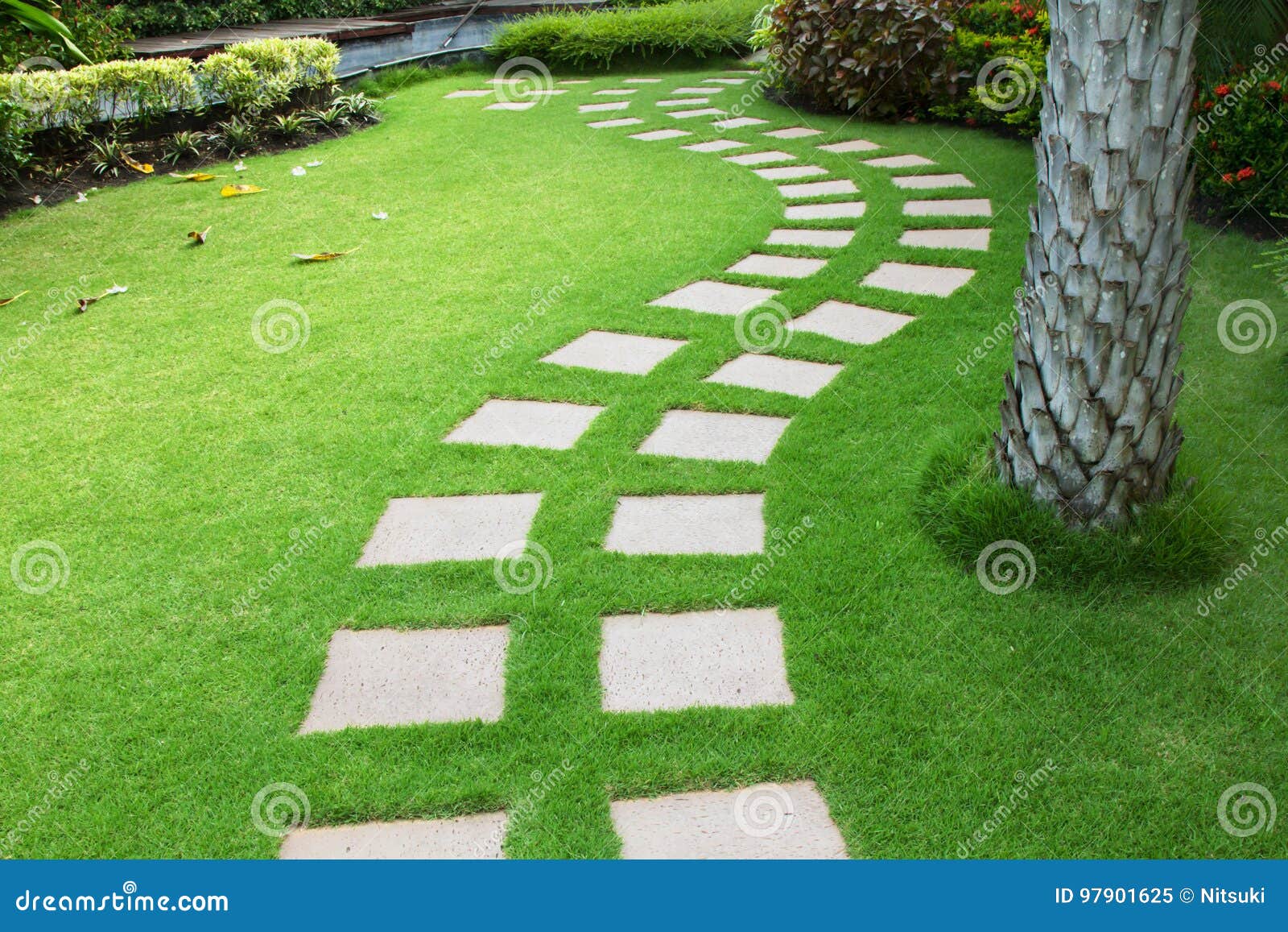 Backyard Garden with Footpath Stock Image Image of nature, flower