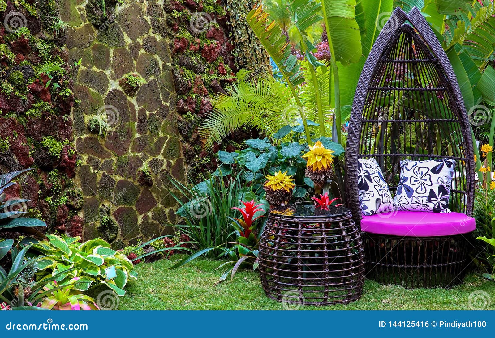 Asian Backyard Garden Sitting Area Stock Photo - Image Of Outdoor, Plants:  144125416