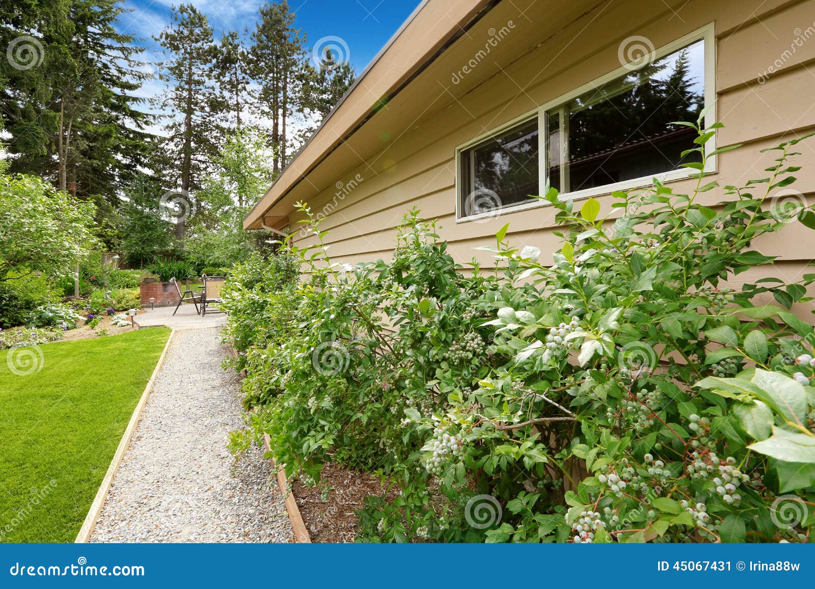 backyard with gravel walkway and bushes alongside