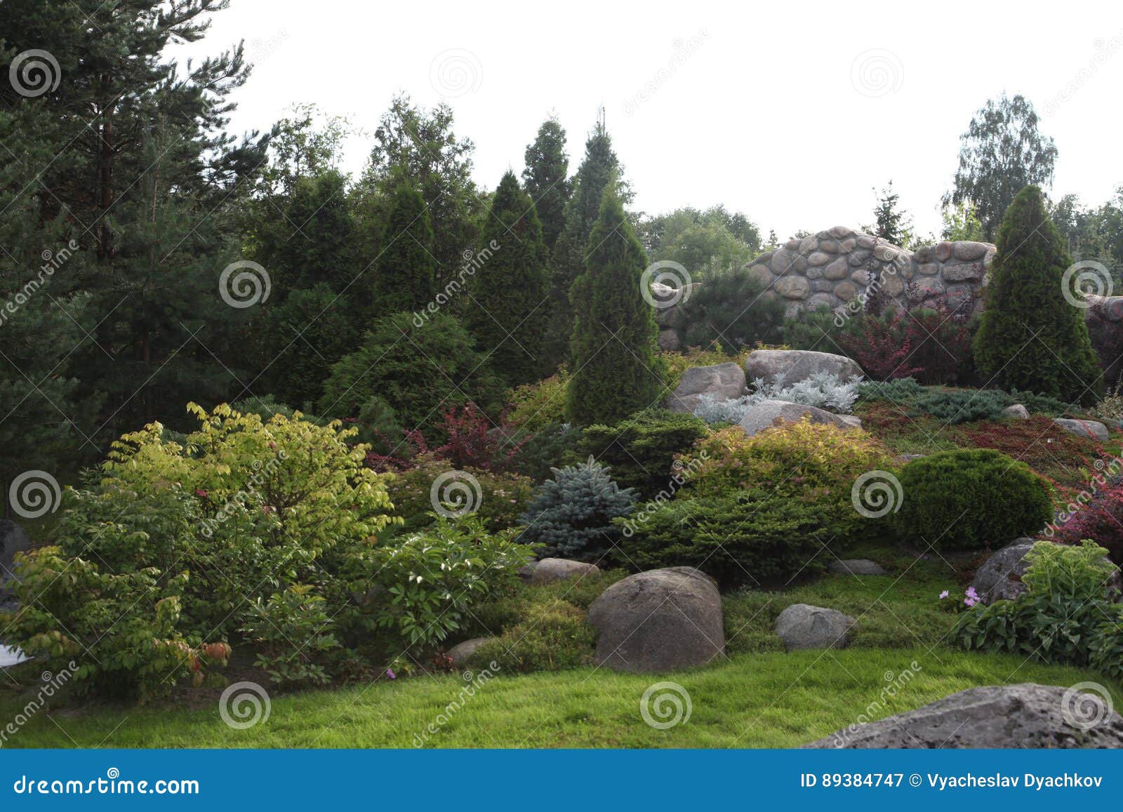 Backyard Paver Patio With Pond In Garden Backyard Paver Patio Landscaping Overview Stock Image Image Of Hostas Bell 89384747