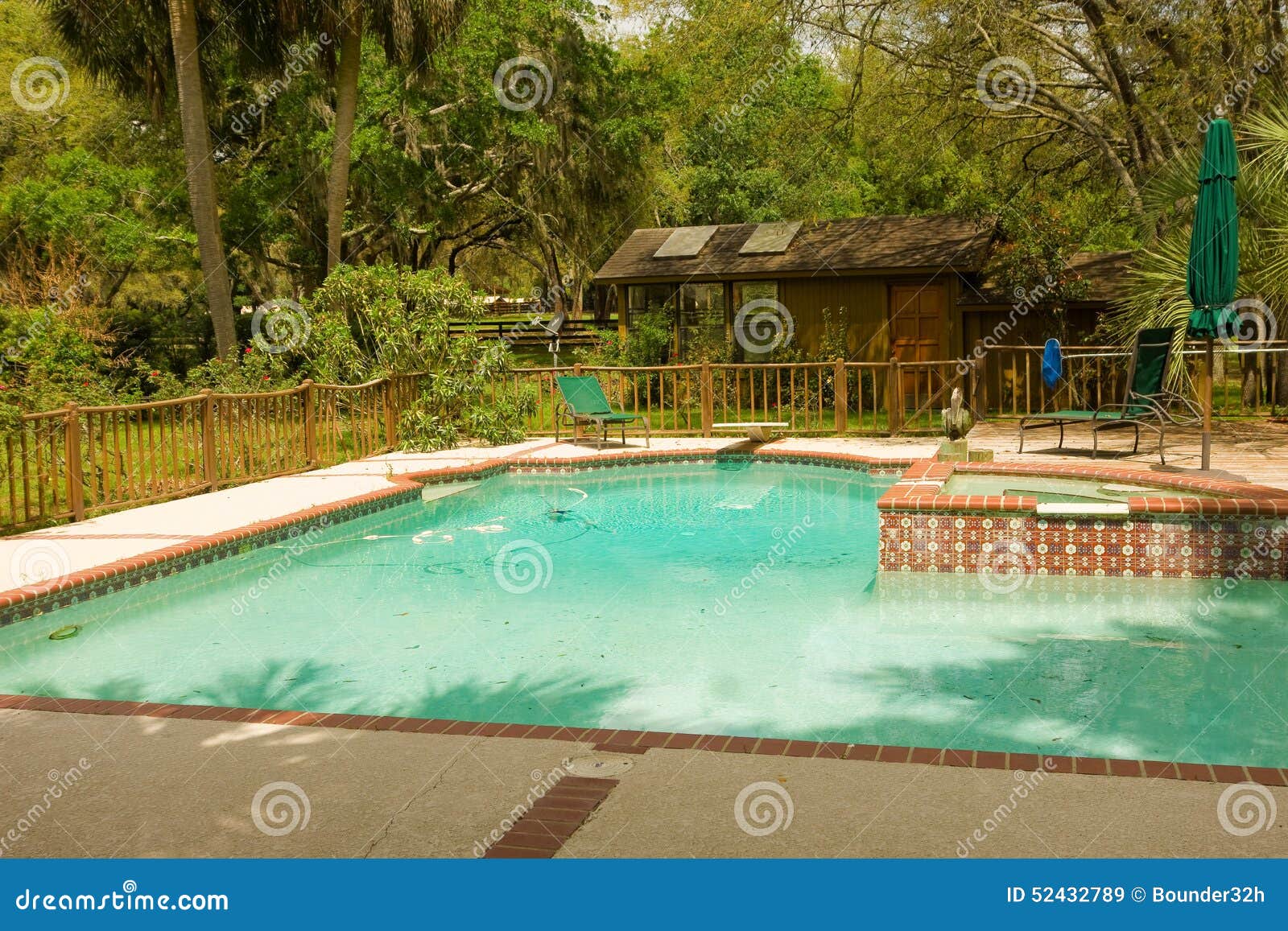 Florida backyard pools