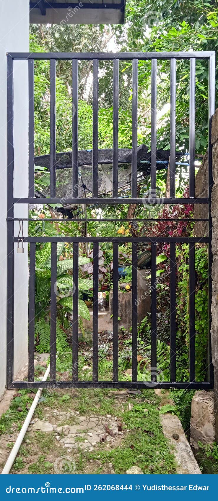 Backyard Steel Gate stock photo. Image of gate, steel 262068444