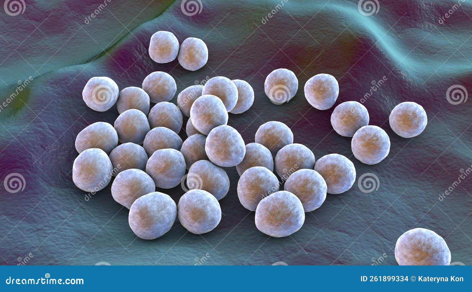 ESA - Staphylococcus aureus (MRSA) bacteria