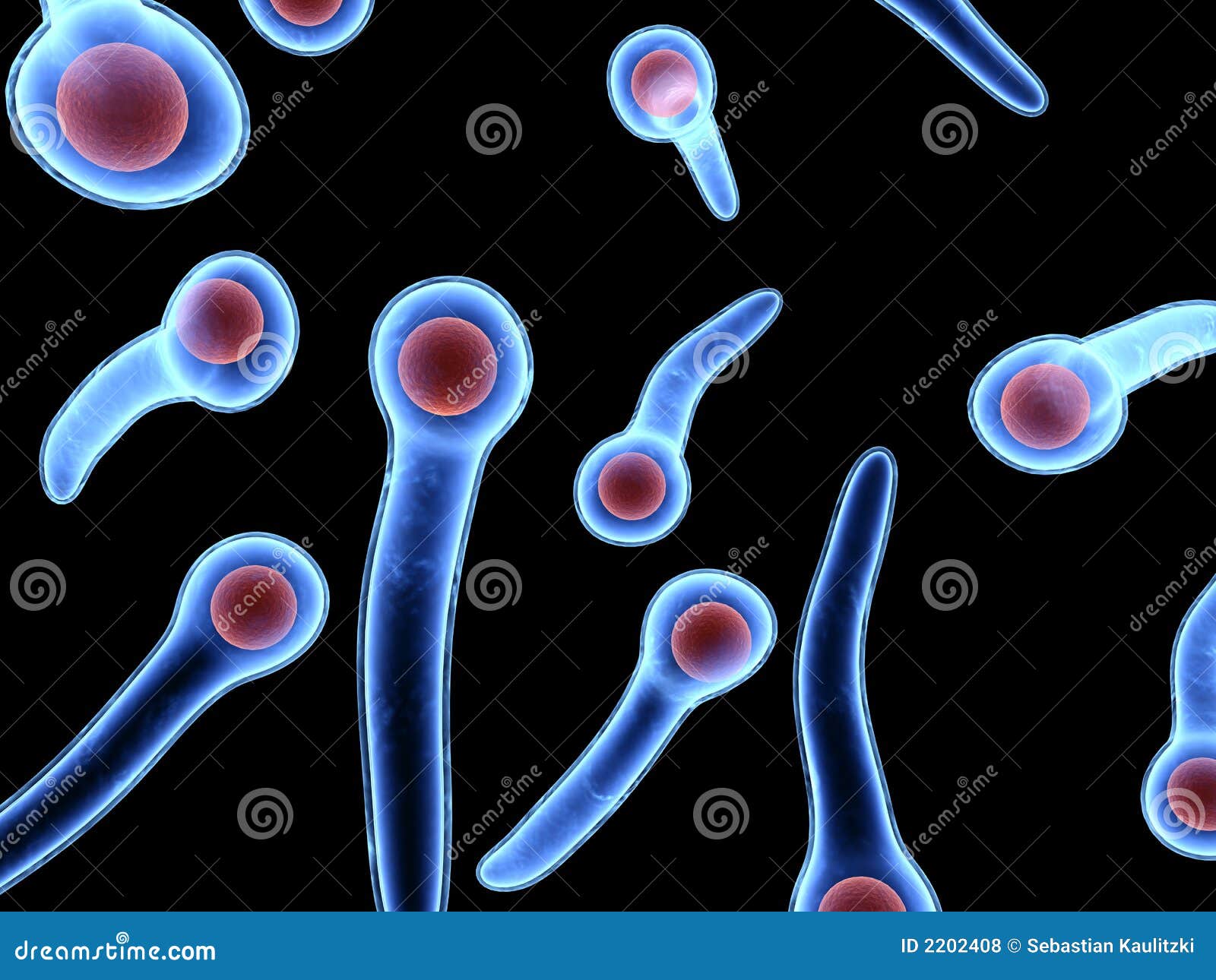 Bactérias do tétano ilustração stock. Ilustração de tétano - 2202408, image size:1600x1290