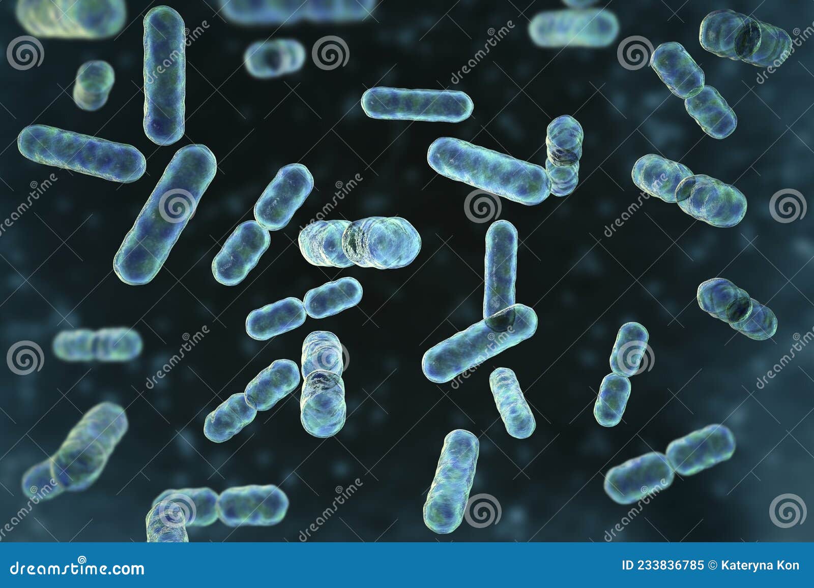bacteria bacteroides, 3d 