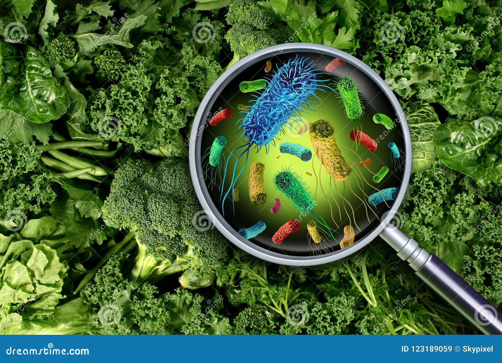 bacteria and germs on vegetables