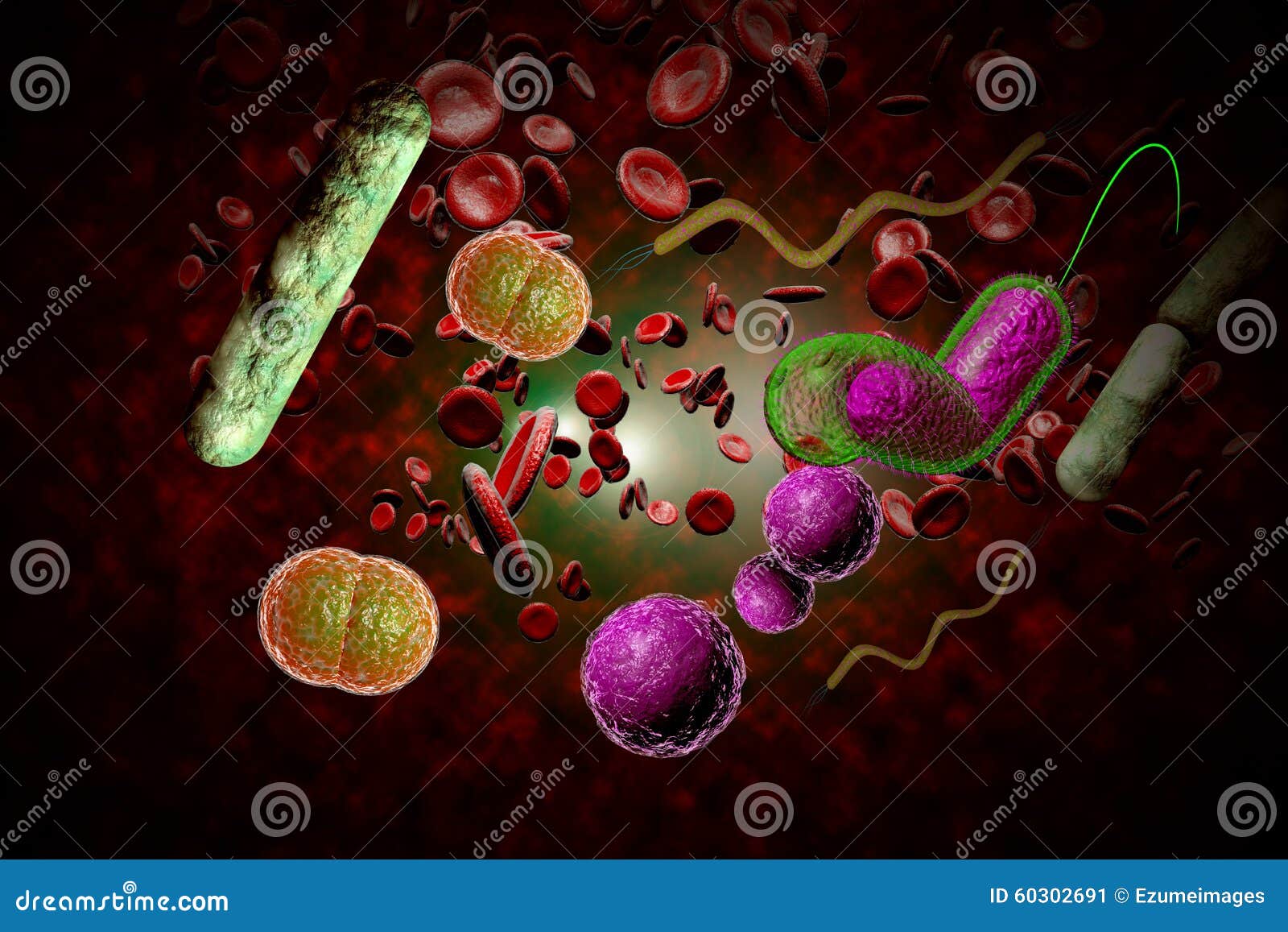 bacteria infection bloodstream