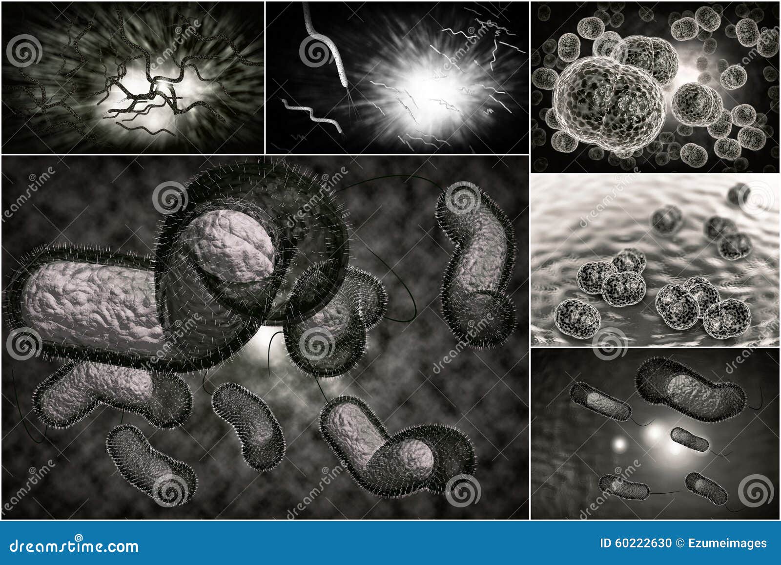 bacteria infection collage