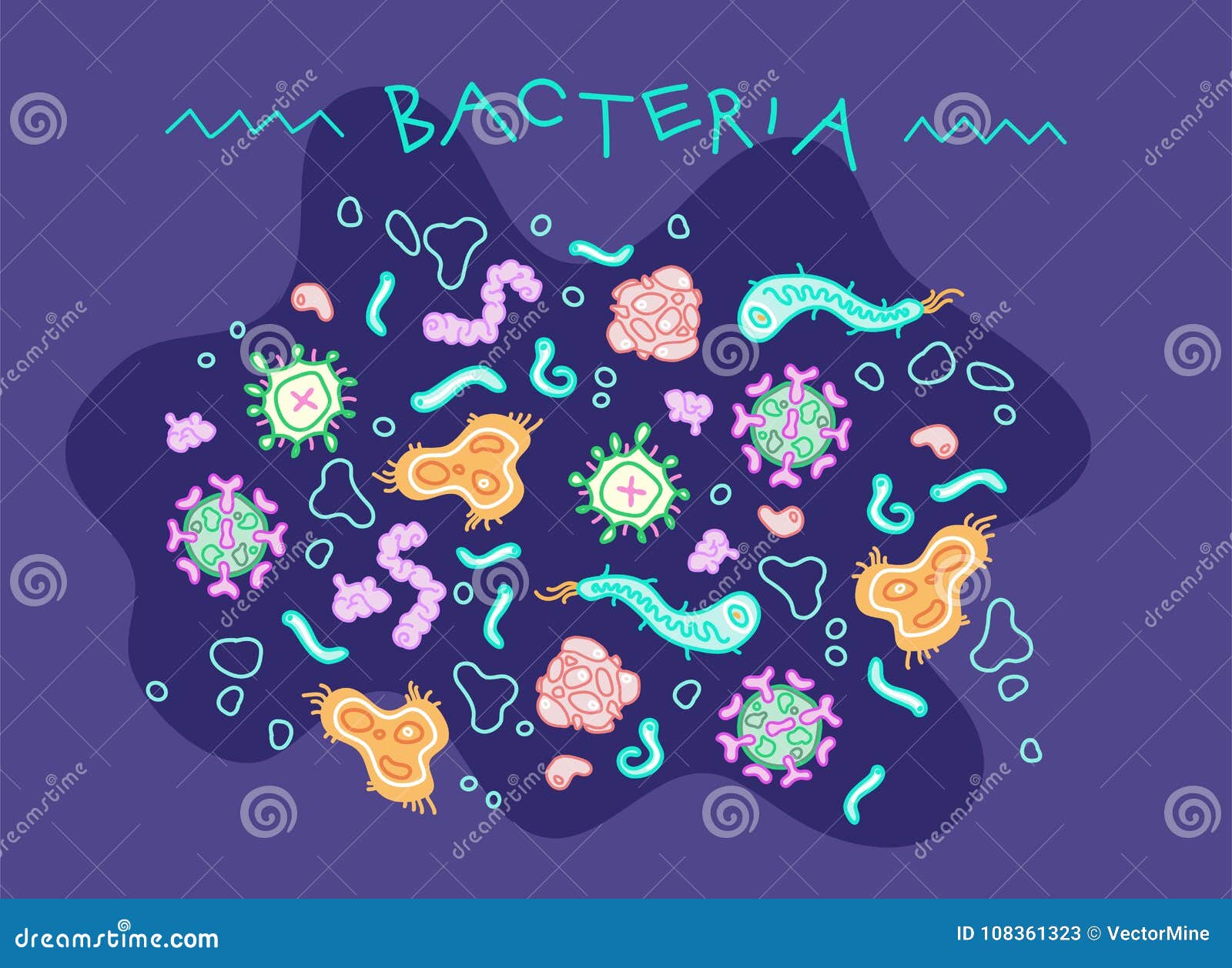bacteria microorganisms 
