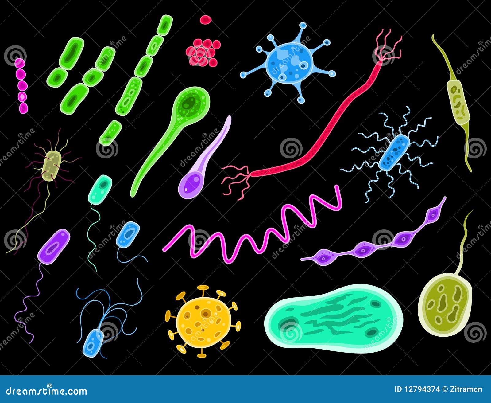 Bacteria And Viruses stock vector. Illustration of bacteria - 12794374