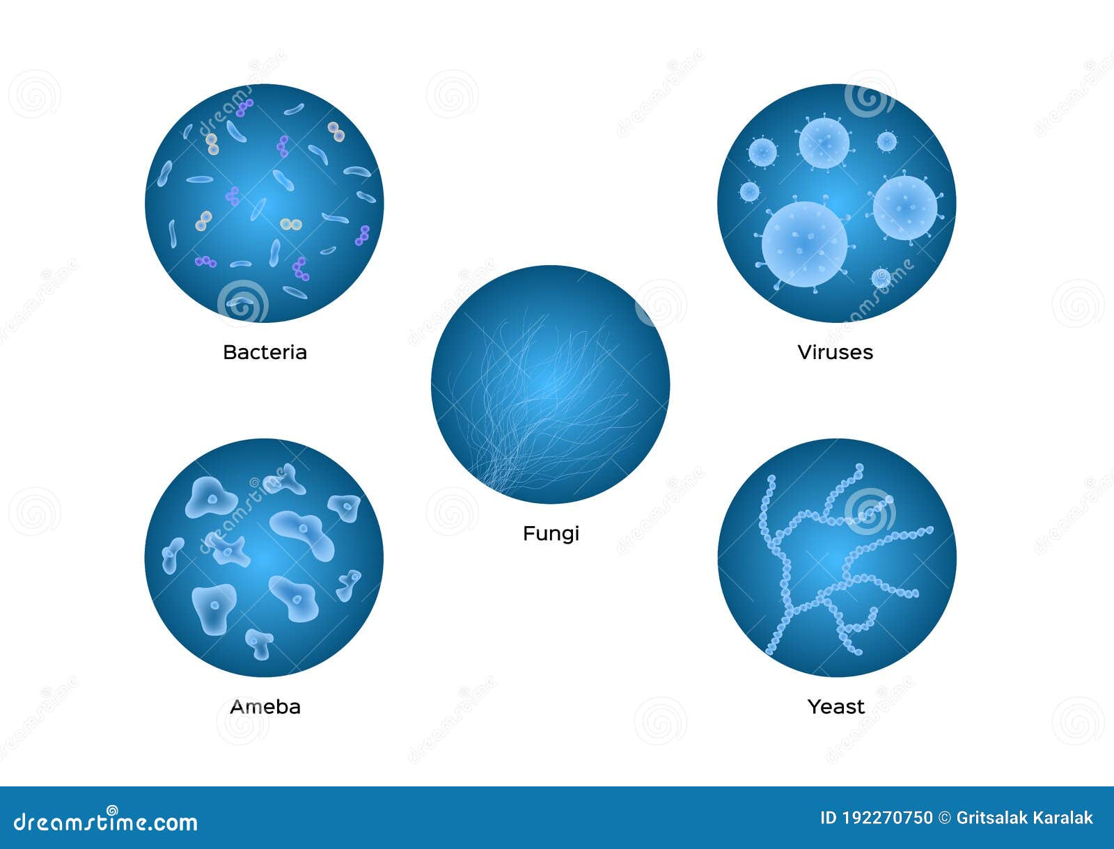 Bacteria Viruses Ameba Yeast Icon Vector Stock Vector Illustration Of Microscopic Ameba