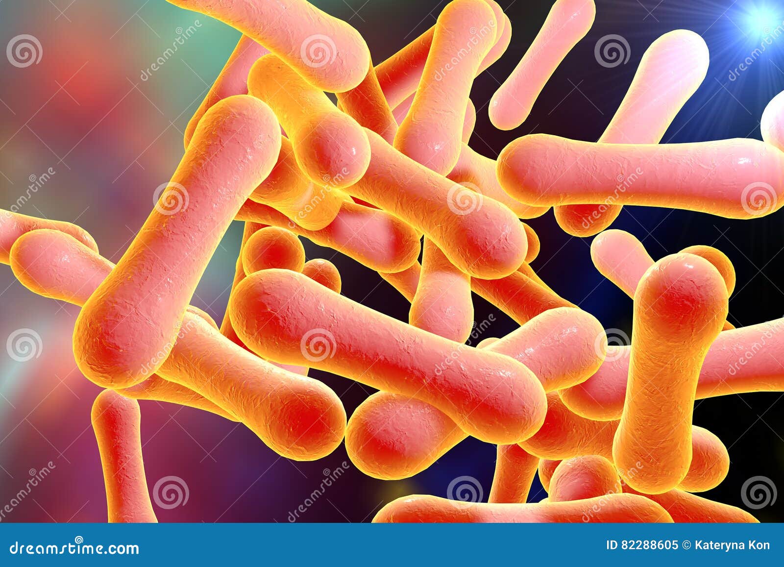 bacteria which cause diphtheria