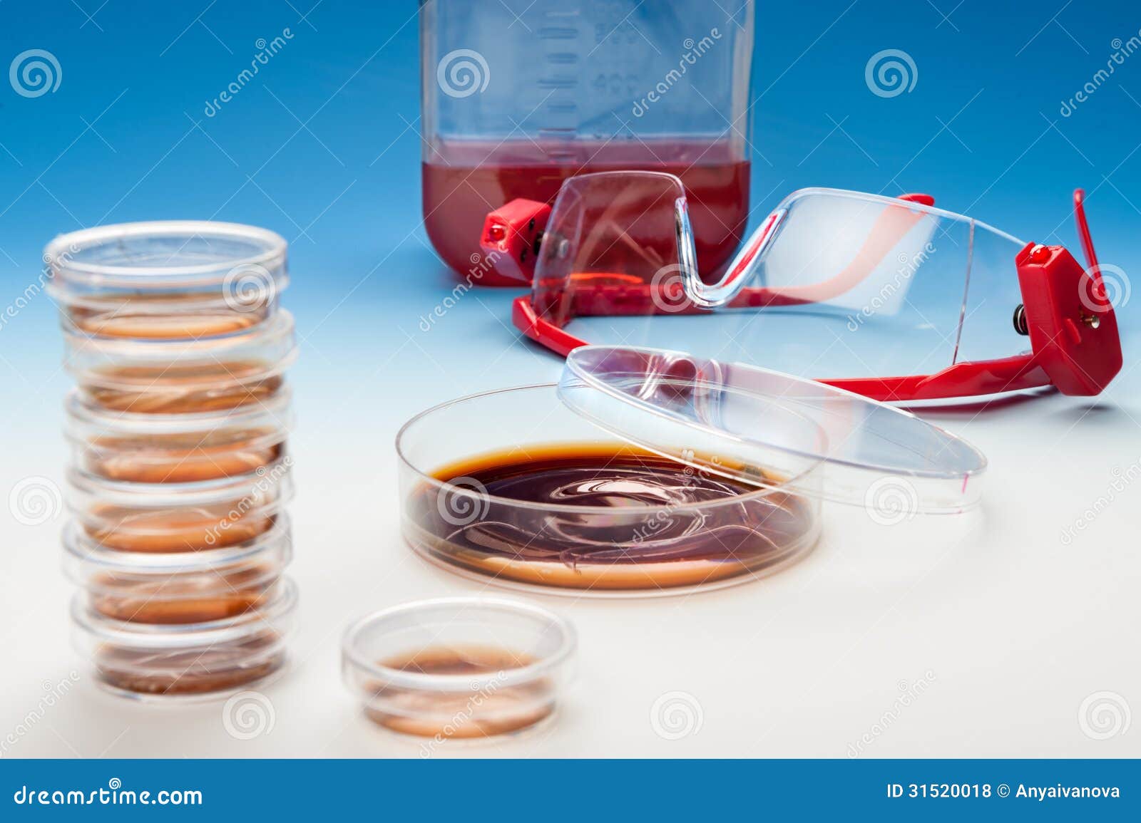 Bacterial cultures stock photo. Image of glasses, culture 31520018