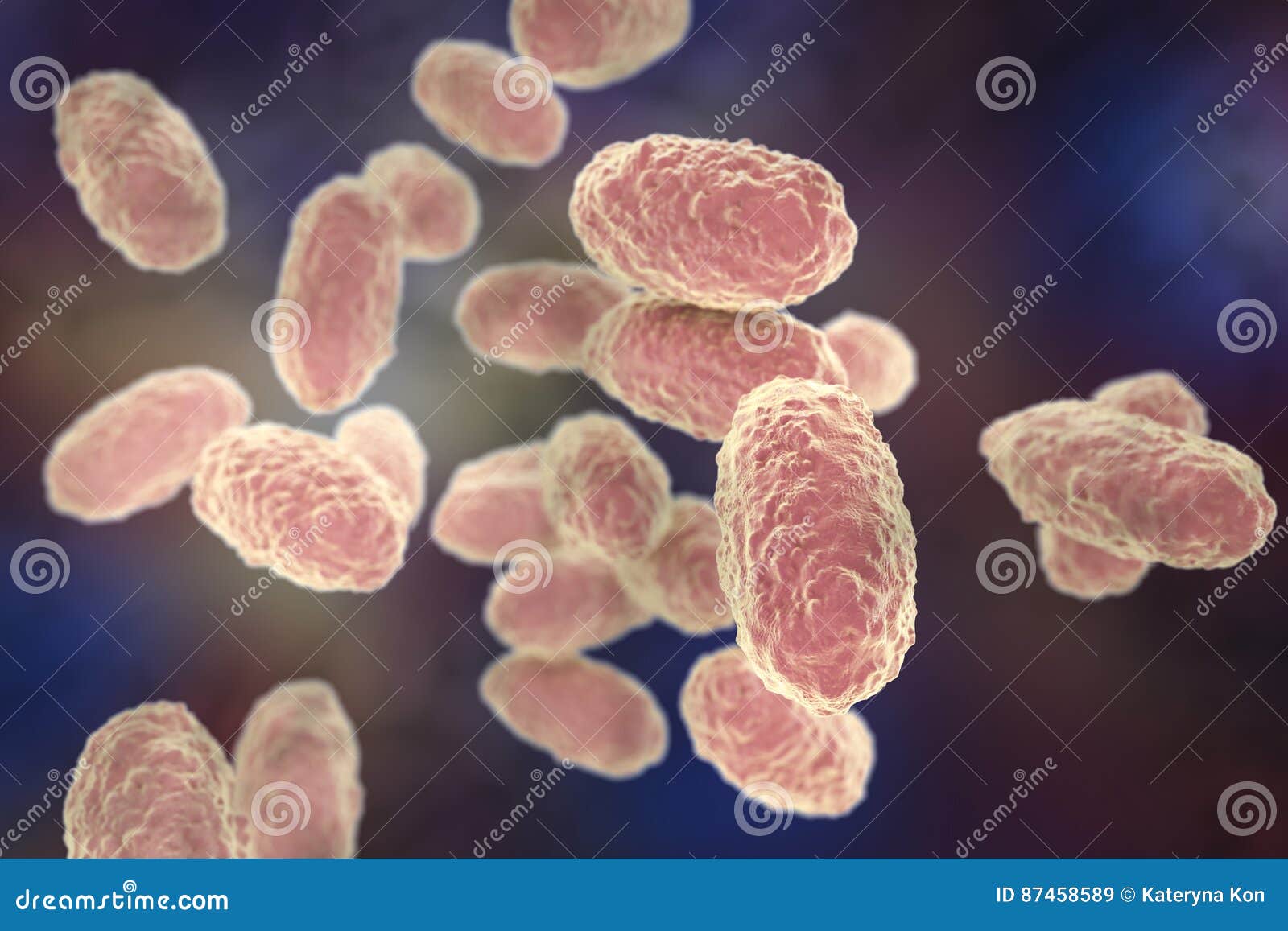 Bacterias Bordetella Pertussis Stock de ilustración  Ilustración de