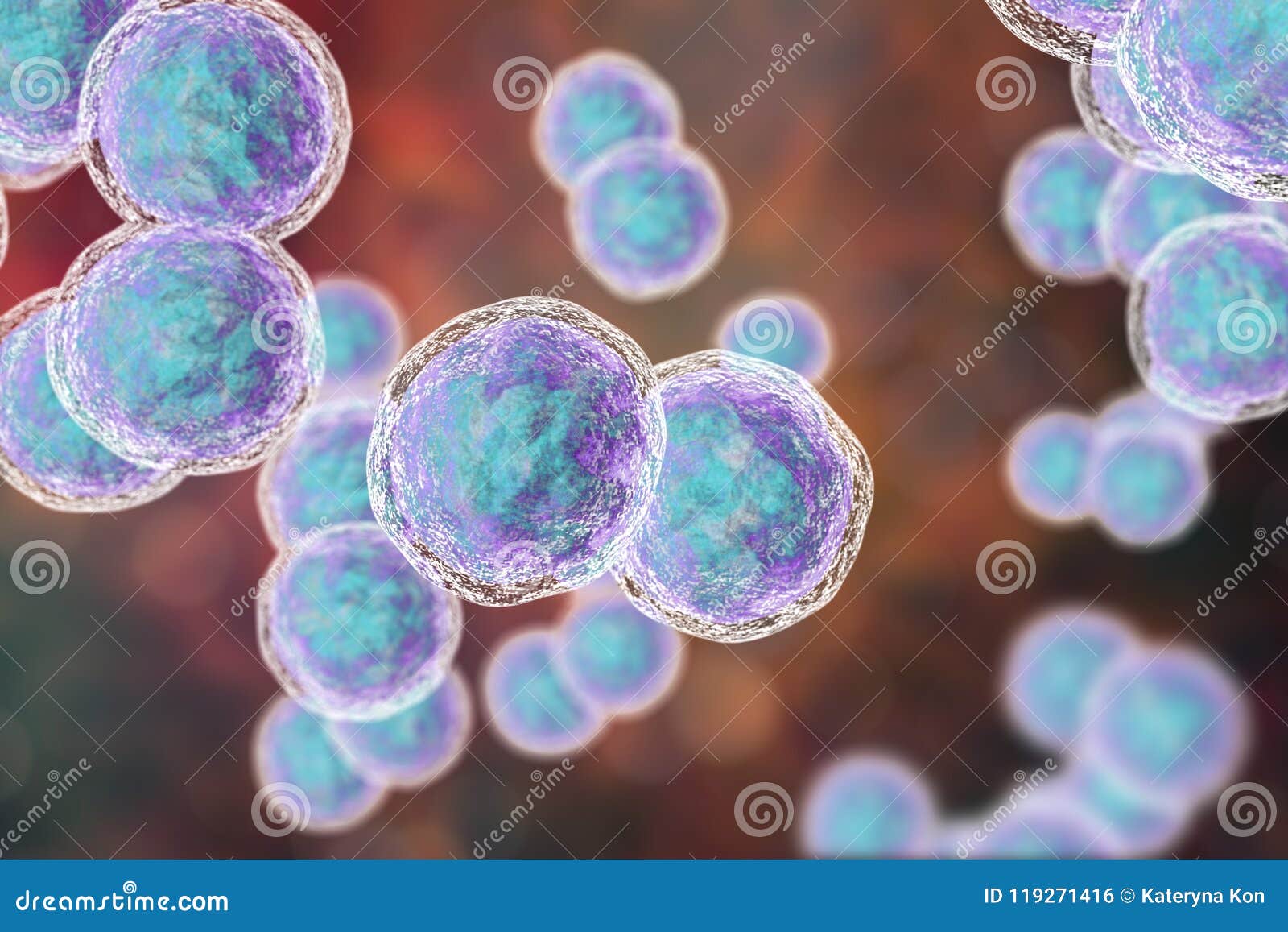 Bacterias De Los Catarrhalis De Moraxella Stock de ilustración