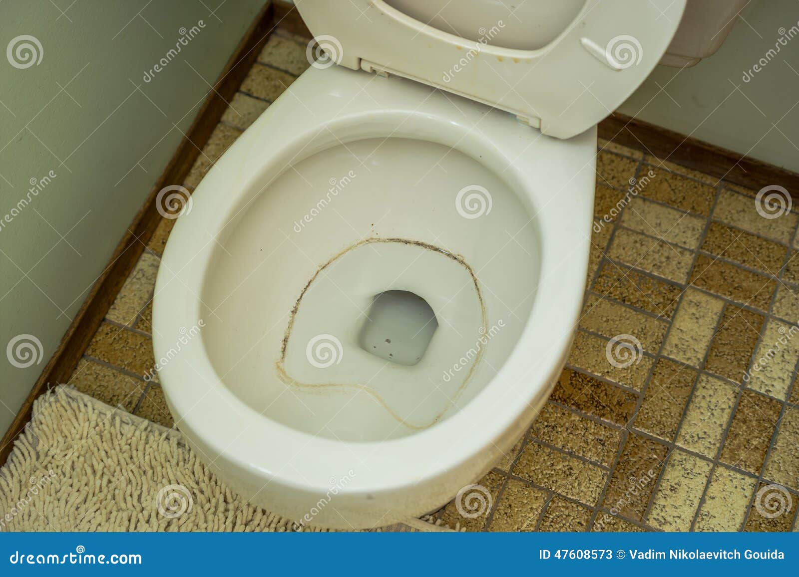 Bacterias En Taza Del Inodoro Imagen de archivo Imagen de desierto