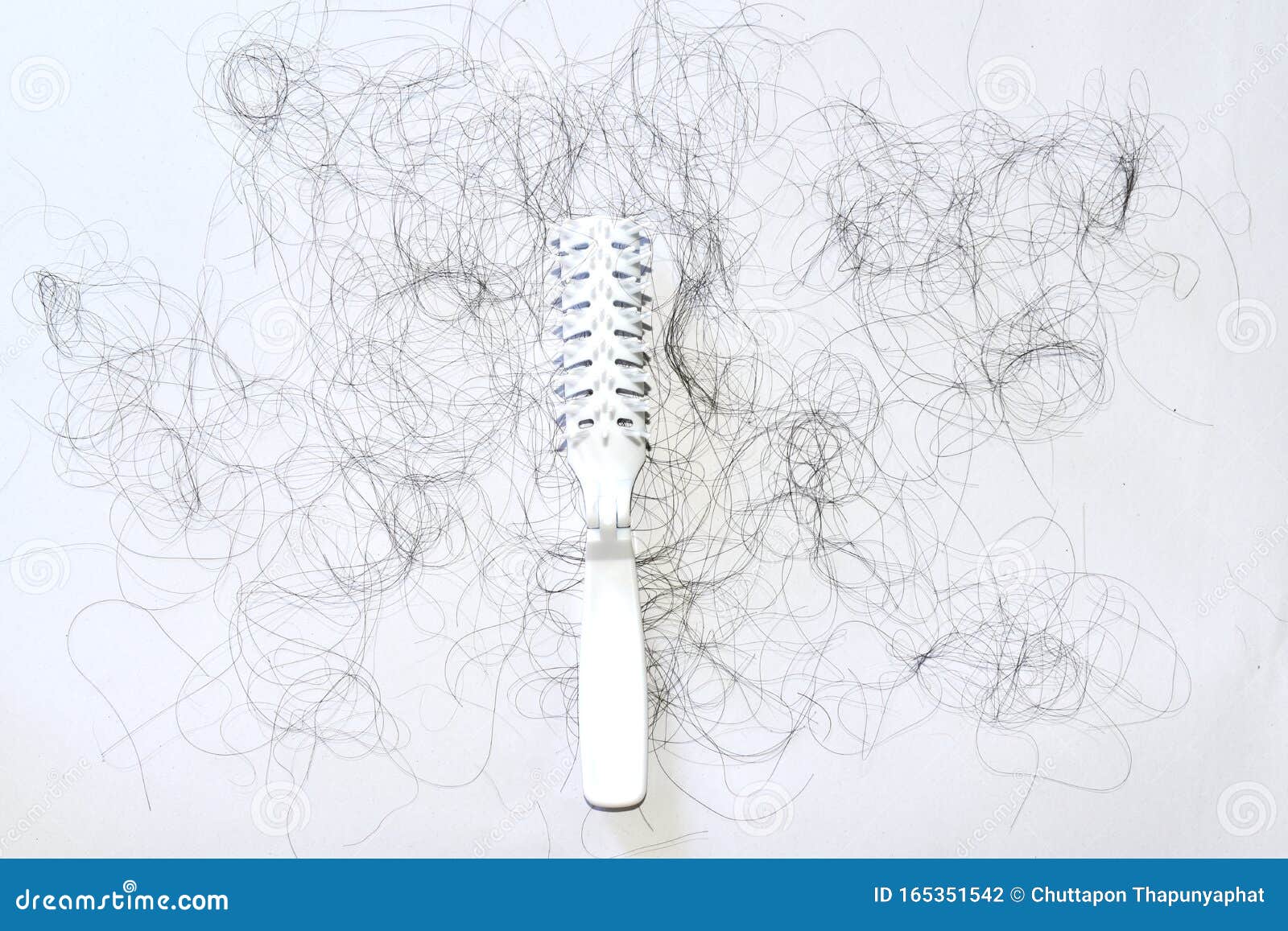 Bad Combing Causes Hair Damage Hair Loss Problems are Many Stock Photo