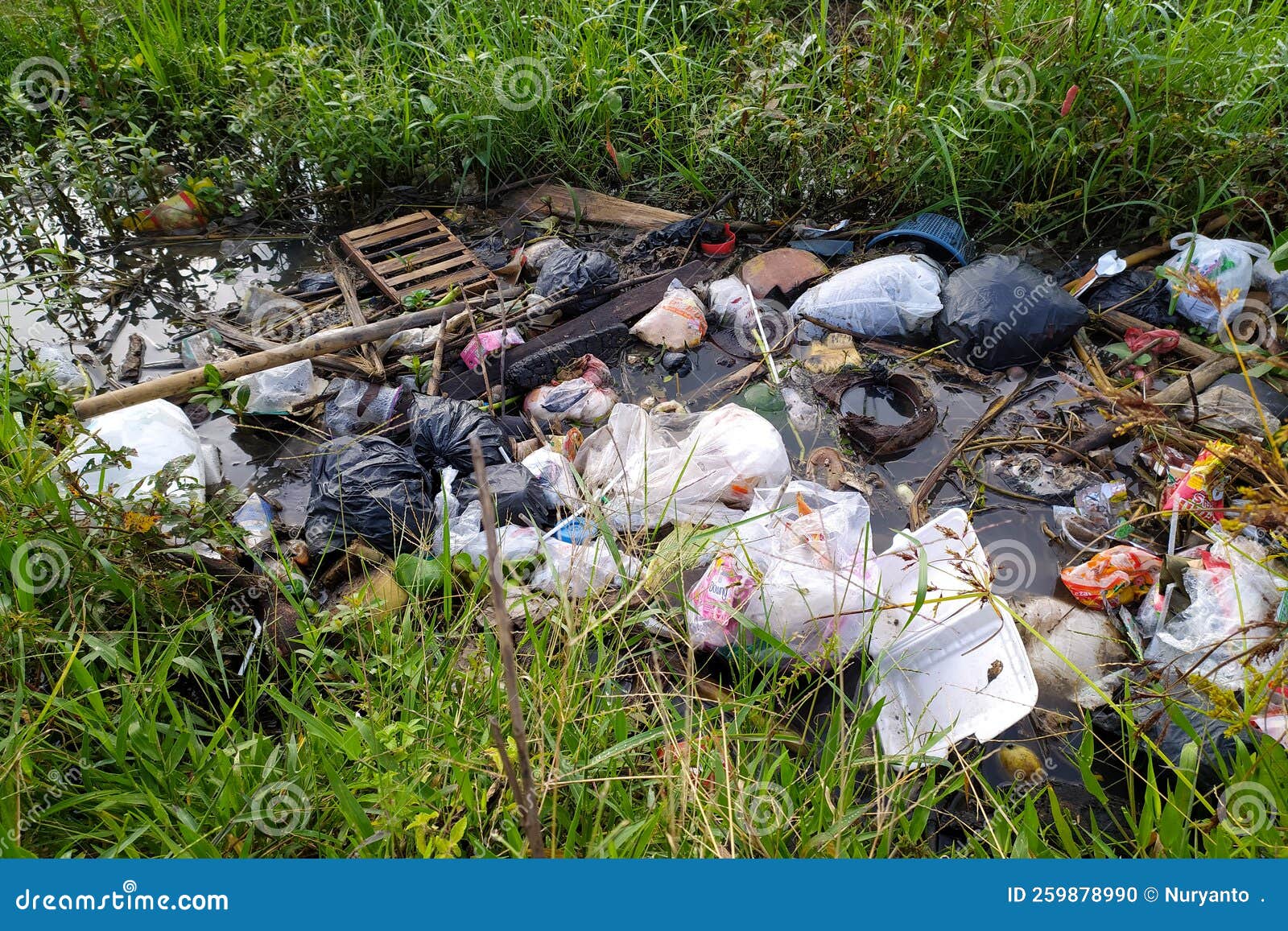 Garbage Polluting Waterways in Ditch Stock Photo Image of management