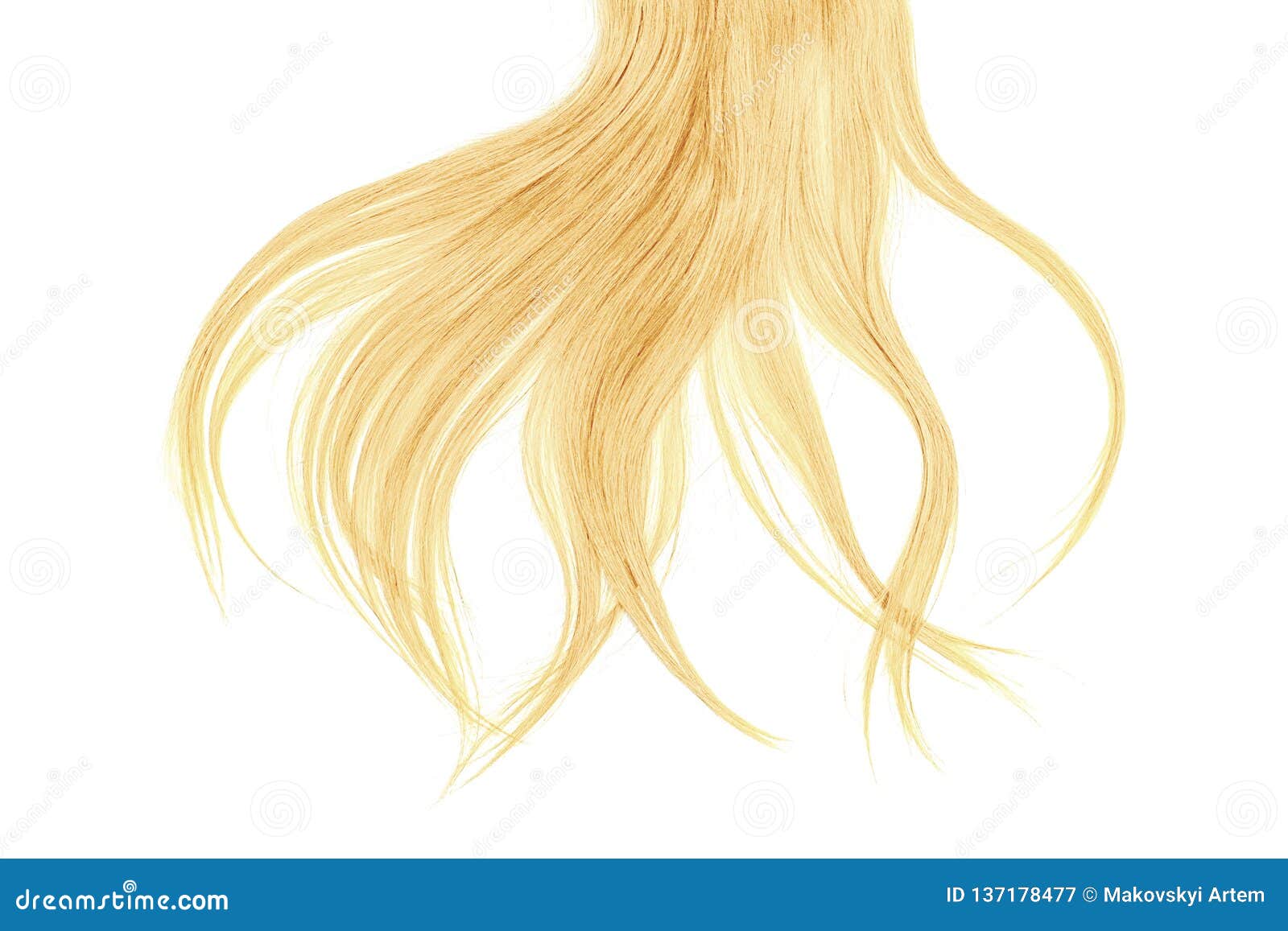 bad hair day concept. long, blond, disheveled ponytail