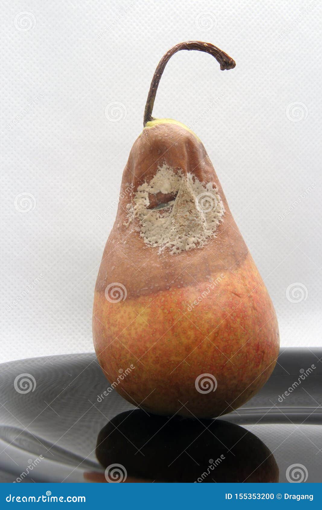 Bad Pear. Bad Fruit. Molded Pear. Molded Fruit. Bad Food Stock Photo