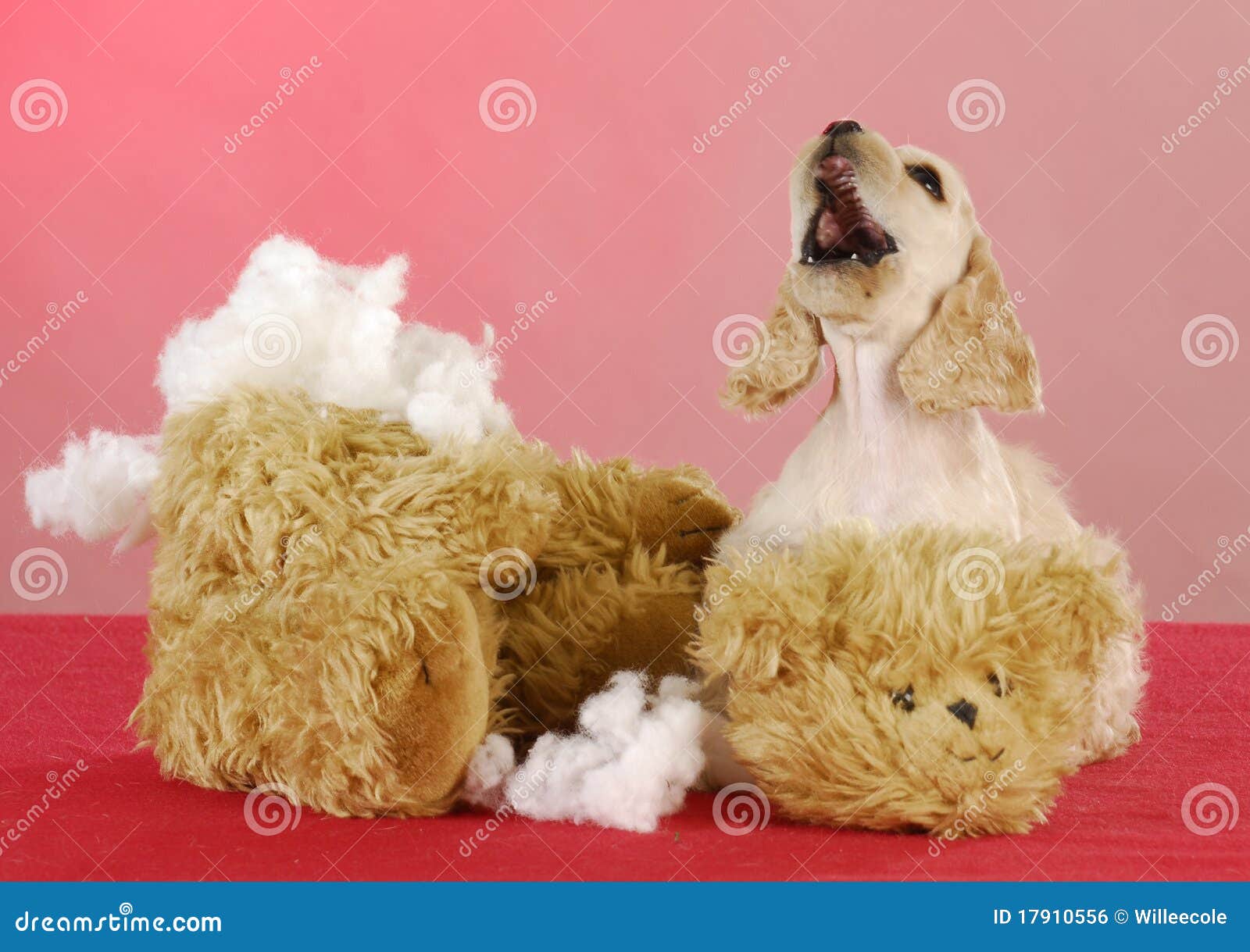 26,800+ Toy Stuffing Stock Photos, Pictures & Royalty-Free Images