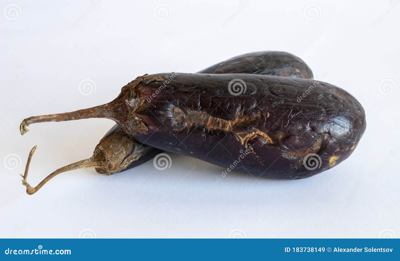 Bad spoiled eggplant stock image. Image of organic, spoiled 183738149